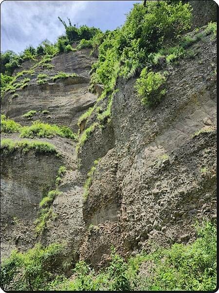 高雄市六龜區【高雄六龜】生態人文品茗一日遊☆新威森林公園(桃花心木步道)x十八羅漢山服務區x檳榔屋餐廳x六山十八工作站