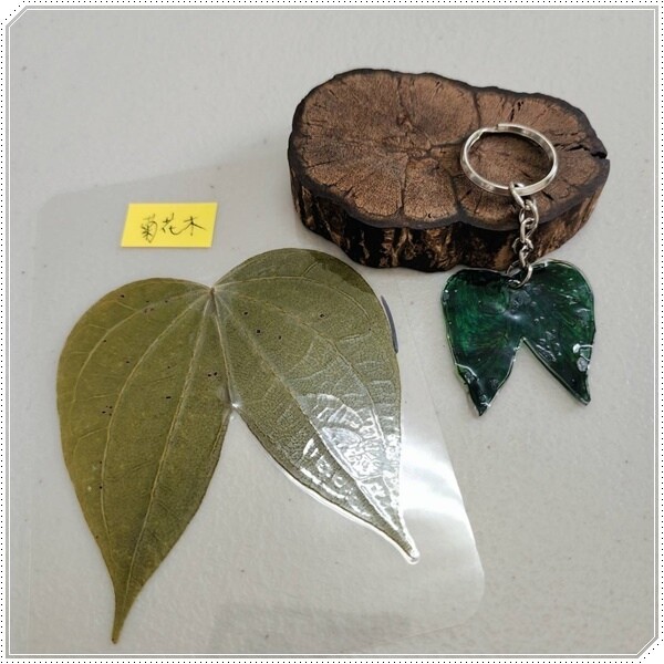 高雄市六龜區【高雄六龜】生態人文品茗一日遊☆新威森林公園(桃花心木步道)x十八羅漢山服務區x檳榔屋餐廳x六山十八工作站