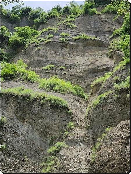 高雄市六龜區【高雄六龜】生態人文品茗一日遊☆新威森林公園(桃花心木步道)x十八羅漢山服務區x檳榔屋餐廳x六山十八工作站