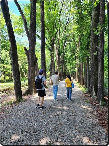 高雄市六龜區【高雄六龜】生態人文品茗一日遊☆新威森林公園(桃花心木步道)x十八羅漢山服務區x檳榔屋餐廳x六山十八工作站