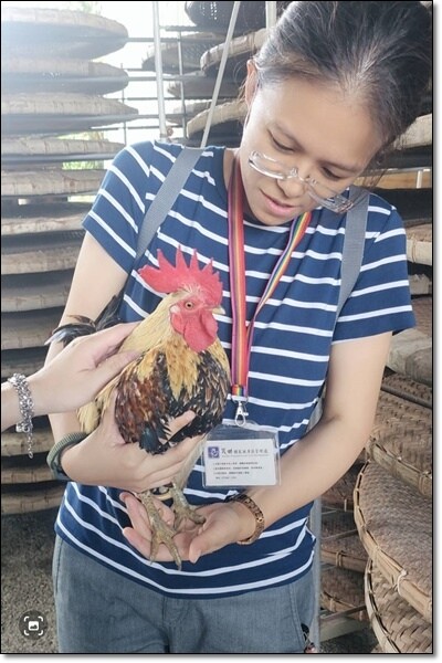 高雄市六龜區【高雄六龜】生態人文品茗一日遊☆新威森林公園(桃花心木步道)x十八羅漢山服務區x檳榔屋餐廳x六山十八工作站