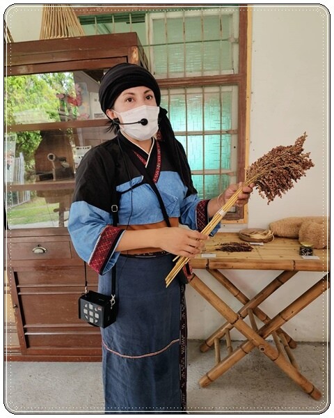 高雄市六龜區【高雄六龜】生態人文品茗一日遊☆新威森林公園(桃花心木步道)x十八羅漢山服務區x檳榔屋餐廳x六山十八工作站