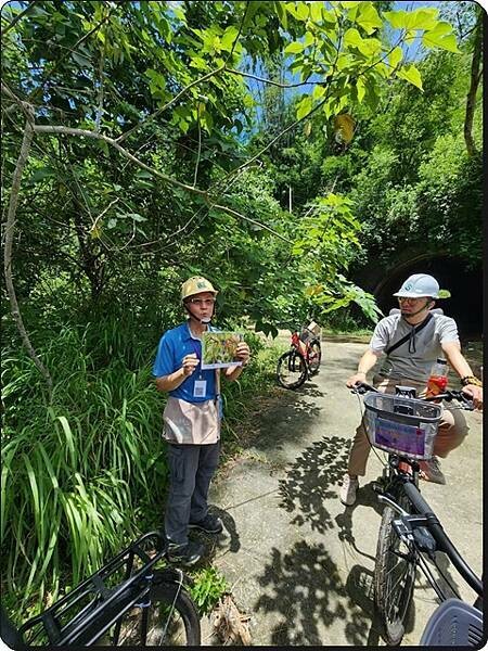 高雄市六龜區【高雄六龜】生態人文品茗一日遊☆新威森林公園(桃花心木步道)x十八羅漢山服務區x檳榔屋餐廳x六山十八工作站