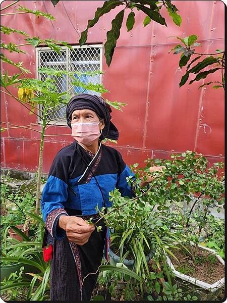 高雄市六龜區【高雄六龜】生態人文品茗一日遊☆新威森林公園(桃花心木步道)x十八羅漢山服務區x檳榔屋餐廳x六山十八工作站