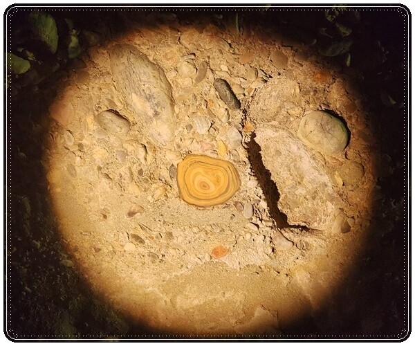 高雄市六龜區【高雄六龜】生態人文品茗一日遊☆新威森林公園(桃花心木步道)x十八羅漢山服務區x檳榔屋餐廳x六山十八工作站