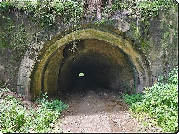 高雄市六龜區【高雄六龜】生態人文品茗一日遊☆新威森林公園(桃花心木步道)x十八羅漢山服務區x檳榔屋餐廳x六山十八工作站