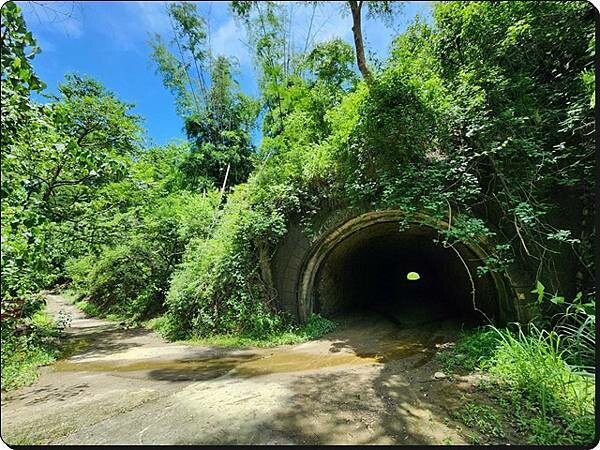 高雄市六龜區【高雄六龜】生態人文品茗一日遊☆新威森林公園(桃花心木步道)x十八羅漢山服務區x檳榔屋餐廳x六山十八工作站
