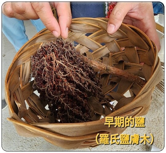 高雄市六龜區【高雄六龜】生態人文品茗一日遊☆新威森林公園(桃花心木步道)x十八羅漢山服務區x檳榔屋餐廳x六山十八工作站