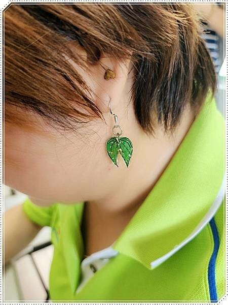 高雄市六龜區【高雄六龜】生態人文品茗一日遊☆新威森林公園(桃花心木步道)x十八羅漢山服務區x檳榔屋餐廳x六山十八工作站