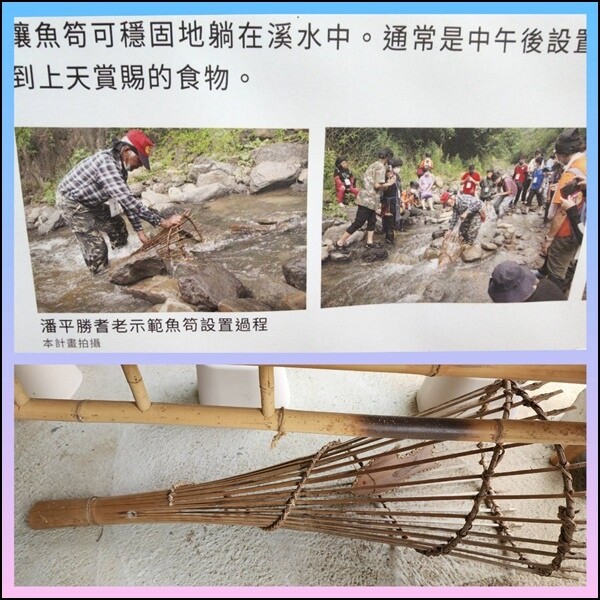 高雄市六龜區【高雄六龜】生態人文品茗一日遊☆新威森林公園(桃花心木步道)x十八羅漢山服務區x檳榔屋餐廳x六山十八工作站