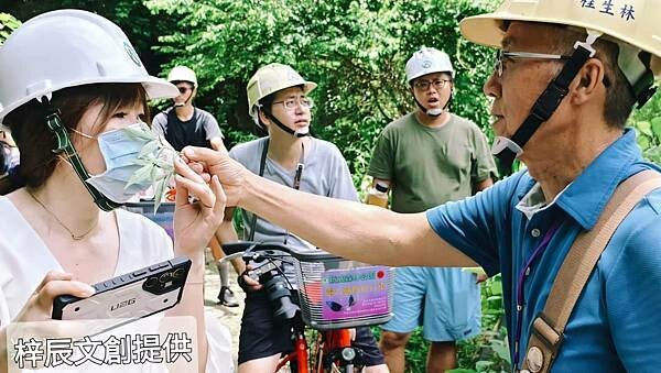 高雄市六龜區【高雄六龜】生態人文品茗一日遊☆新威森林公園(桃花心木步道)x十八羅漢山服務區x檳榔屋餐廳x六山十八工作站