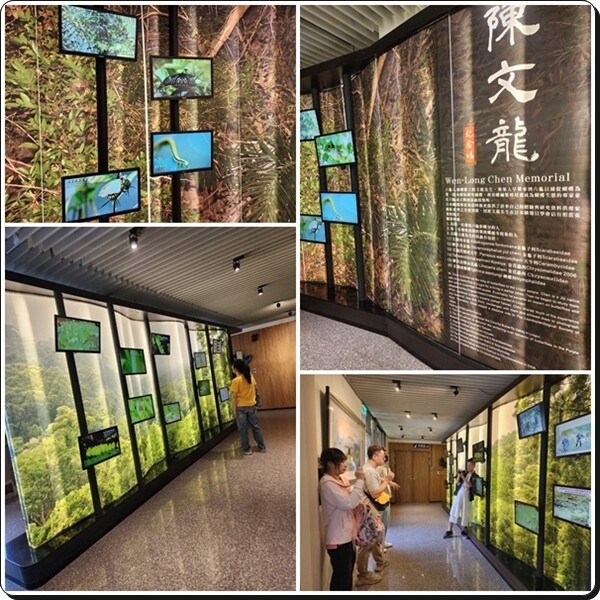 高雄市六龜區【高雄六龜】生態人文品茗一日遊☆新威森林公園(桃花心木步道)x十八羅漢山服務區x檳榔屋餐廳x六山十八工作站