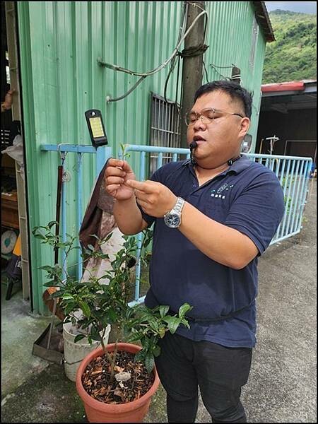 高雄市六龜區【高雄六龜】生態人文品茗一日遊☆新威森林公園(桃花心木步道)x十八羅漢山服務區x檳榔屋餐廳x六山十八工作站