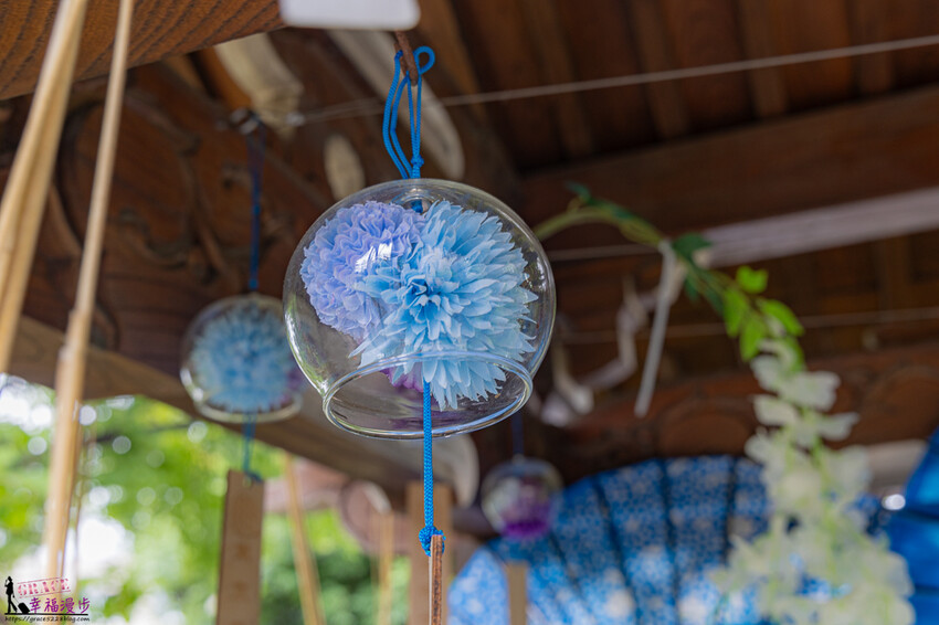 日本法輪寺｜東京日本–東京最美的花手水，依季節不同推出鏤空花卉御朱印