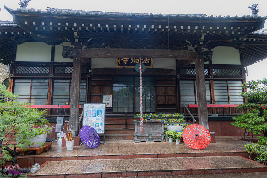 日本法輪寺｜東京日本–東京最美的花手水，依季節不同推出鏤空花卉御朱印