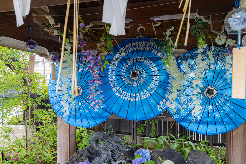 日本法輪寺｜東京日本–東京最美的花手水，依季節不同推出鏤空花卉御朱印