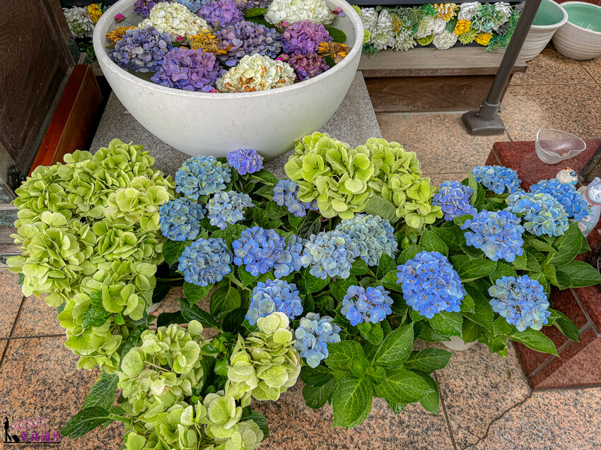 日本法輪寺｜東京日本–東京最美的花手水，依季節不同推出鏤空花卉御朱印