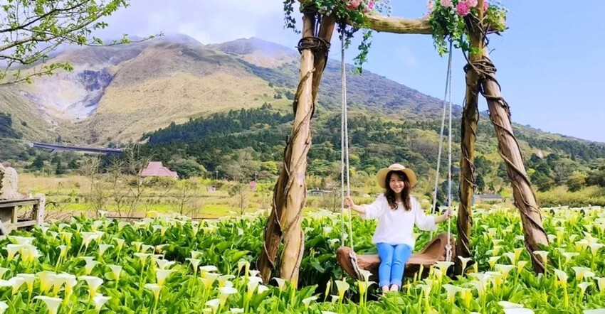 台北市大同區國立臺灣博物館鐵道部園區》蒸汽夢工廠好好玩 歷史建築好迷人 鐵道迷建築迷親子景點一次滿足｜台北捷運親子