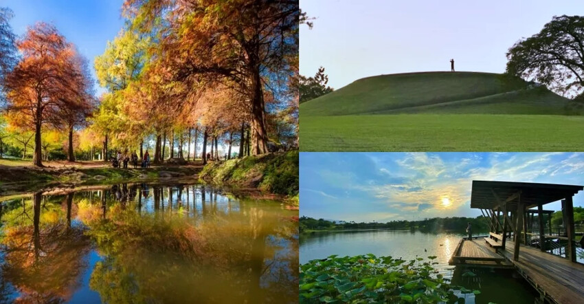 宜蘭縣冬山鄉台灣好行巴士冬山河線》不開車玩宜蘭!台灣好行綠21羅東五結冬山一日遊攻略