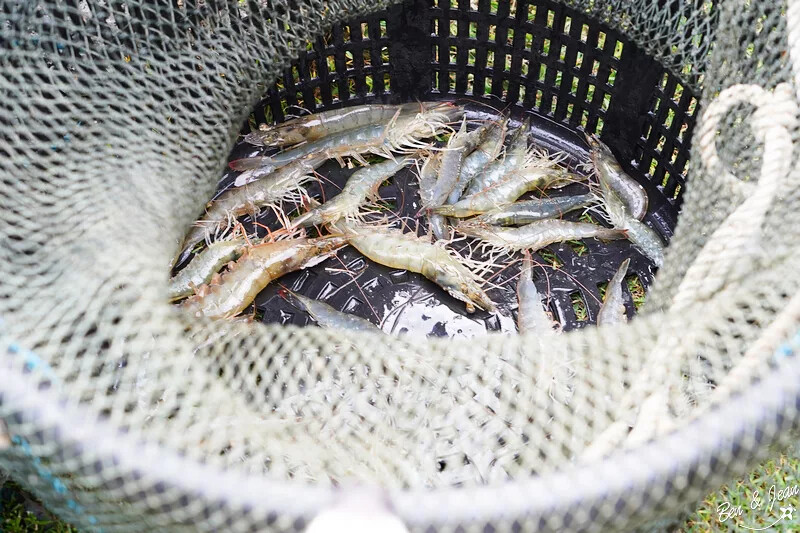 宜蘭縣五結鄉宜蘭五結一日遊》蘭陽溪口休閒農業區景點～精采獨木舟、蝦丸DIY 、釣蝦體驗，特色下午茶