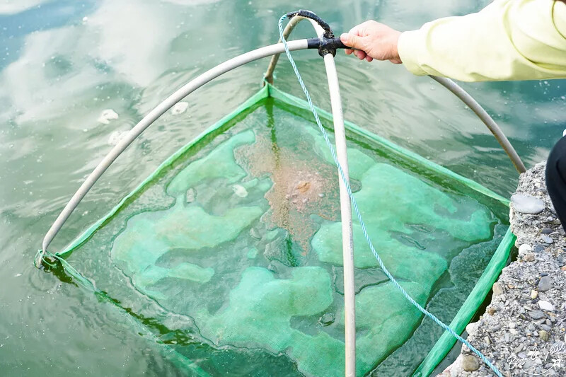 宜蘭縣五結鄉宜蘭五結一日遊》蘭陽溪口休閒農業區景點～精采獨木舟、蝦丸DIY 、釣蝦體驗，特色下午茶