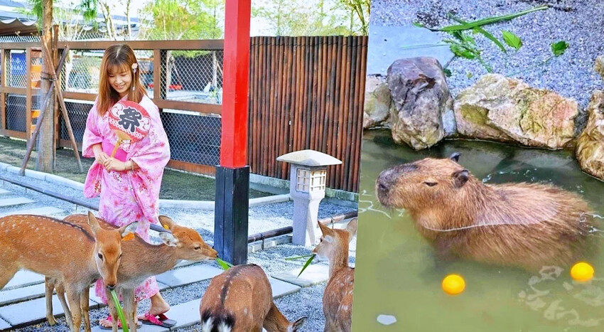 宜蘭縣五結鄉宜蘭五結一日遊》蘭陽溪口休閒農業區景點～精采獨木舟、蝦丸DIY 、釣蝦體驗，特色下午茶