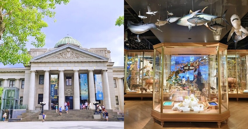 台北市大同區國立臺灣博物館鐵道部園區》蒸汽夢工廠好好玩 歷史建築好迷人 鐵道迷建築迷親子景點一次滿足｜台北捷運親子