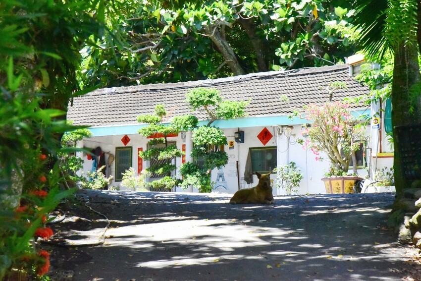 台東三天兩夜輕旅行｜我在太麻里好解憂