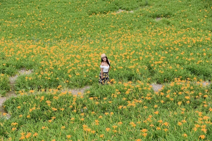 台東三天兩夜輕旅行｜我在太麻里好解憂