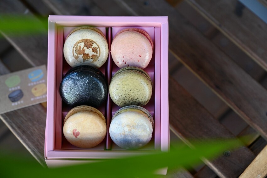 2024台東行程規劃｜我在太麻里好解憂 2024太麻里金針花