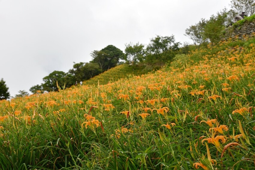 台東三天兩夜輕旅行｜我在太麻里好解憂