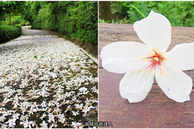南投縣埔里鎮南投埔里新景點|日月町複合商場,前往日月潭的全台最美休息站