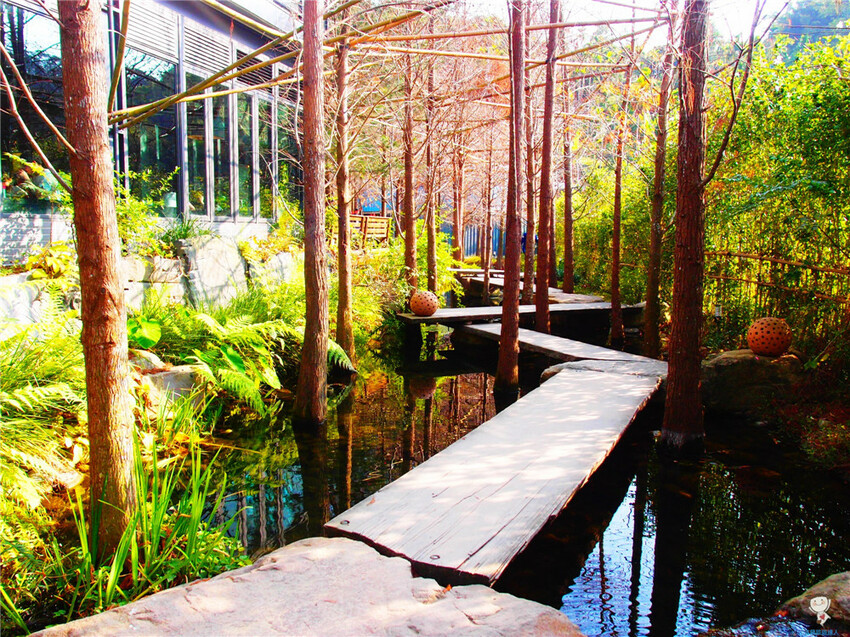 台中市和平區夏天必訪｜精選台中,彰化,南投7家森林系景觀餐廳,避暑好去處!