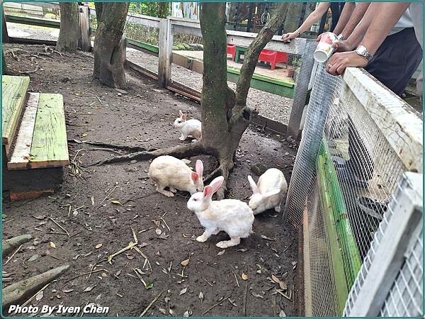 《大溪一日遊》假日趴趴走/休閒美拍歌舞的日子 in『穀倉St