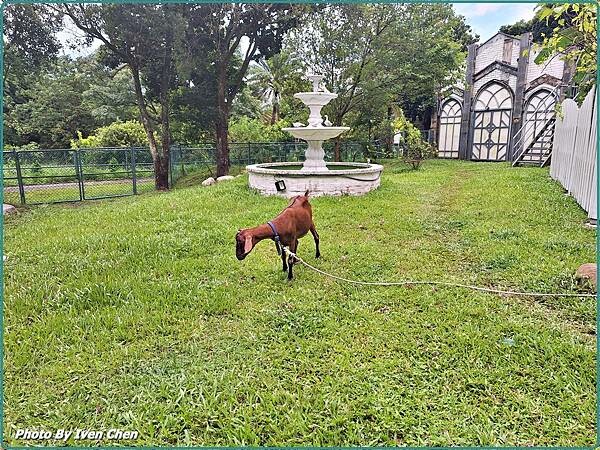 《大溪一日遊》假日趴趴走/休閒美拍歌舞的日子 in『穀倉St