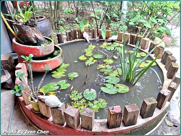 《大溪一日遊》假日趴趴走/超大的攝影棚/秒飛歐式宮廷城堡場景