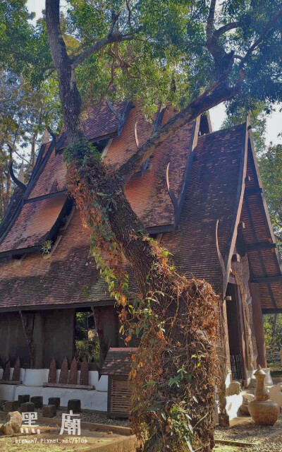 《泰國清邁自由行》清萊黑廟(黑屋博物館)│宛如部落遺蹟的死亡 黑廟(黑屋博物館)-27