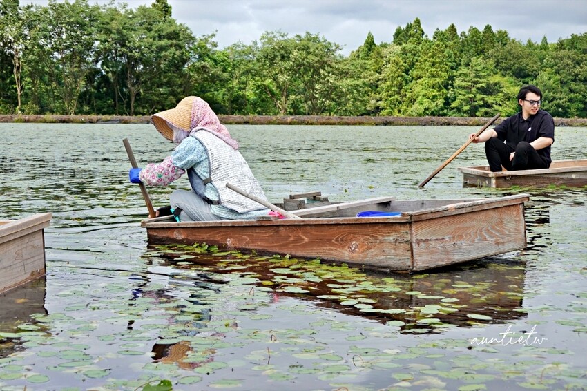 日本【秋田旅遊】三種町|阿部農園,水中綠寶石蓴菜採摘體驗,滿滿膠原蛋白的季節限定美食!