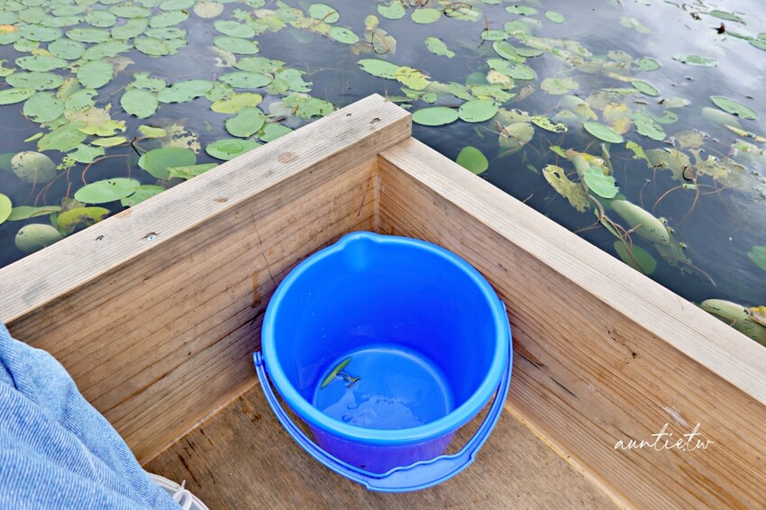 日本【秋田旅遊】三種町|阿部農園,水中綠寶石蓴菜採摘體驗,滿滿膠原蛋白的季節限定美食!