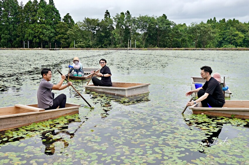 日本【秋田旅遊】三種町|阿部農園,水中綠寶石蓴菜採摘體驗,滿滿膠原蛋白的季節限定美食!