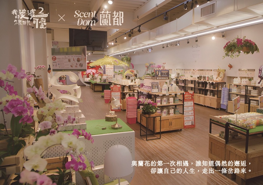 台南市六甲區“我的婆婆怎麼那麼可愛2”玻璃屋場景，戶外有遊艇花園和網美拍照區，免費參觀、蘭花保養品試用，當然別忘了“我的婆婆怎麼那麼可愛2”聯名保養品禮盒~蘭都觀光工廠