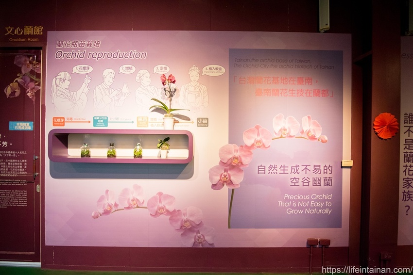 台南市六甲區“我的婆婆怎麼那麼可愛2”玻璃屋場景，戶外有遊艇花園和網美拍照區，免費參觀、蘭花保養品試用，當然別忘了“我的婆婆怎麼那麼可愛2”聯名保養品禮盒~蘭都觀光工廠