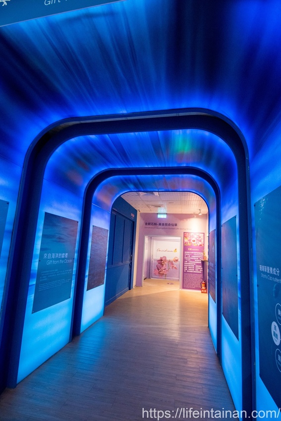 台南市六甲區“我的婆婆怎麼那麼可愛2”玻璃屋場景，戶外有遊艇花園和網美拍照區，免費參觀、蘭花保養品試用，當然別忘了“我的婆婆怎麼那麼可愛2”聯名保養品禮盒~蘭都觀光工廠