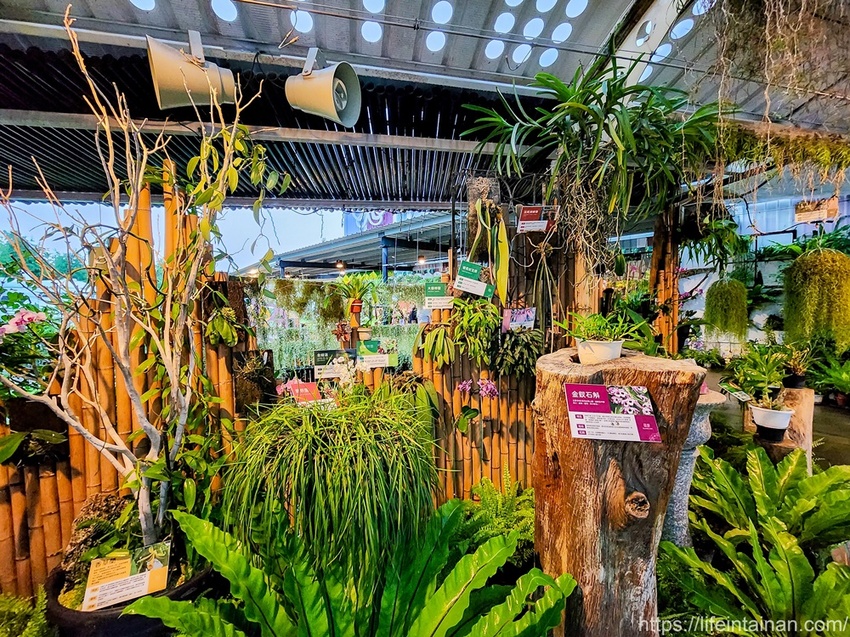 台南市六甲區“我的婆婆怎麼那麼可愛2”玻璃屋場景，戶外有遊艇花園和網美拍照區，免費參觀、蘭花保養品試用，當然別忘了“我的婆婆怎麼那麼可愛2”聯名保養品禮盒~蘭都觀光工廠