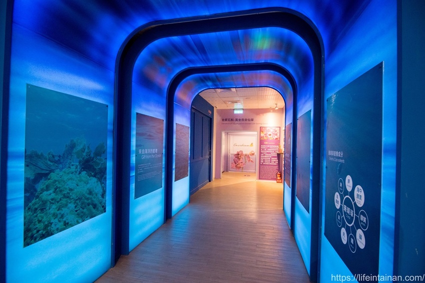 台南市六甲區“我的婆婆怎麼那麼可愛2”玻璃屋場景，戶外有遊艇花園和網美拍照區，免費參觀、蘭花保養品試用，當然別忘了“我的婆婆怎麼那麼可愛2”聯名保養品禮盒~蘭都觀光工廠