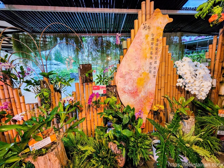台南市六甲區“我的婆婆怎麼那麼可愛2”玻璃屋場景，戶外有遊艇花園和網美拍照區，免費參觀、蘭花保養品試用，當然別忘了“我的婆婆怎麼那麼可愛2”聯名保養品禮盒~蘭都觀光工廠