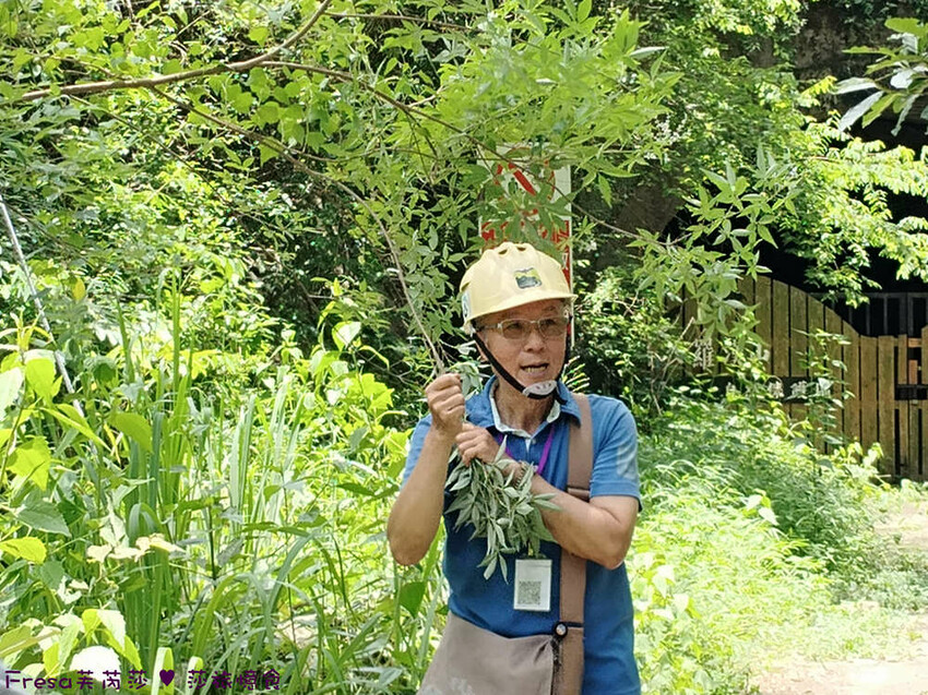 高雄市六龜區高雄旅遊│六龜荖濃溪遊憩旅行│騎乘電輔車吹風過隧道.豐富六龜生態地質│品茗原山茶│荖濃大武壠族文化體驗