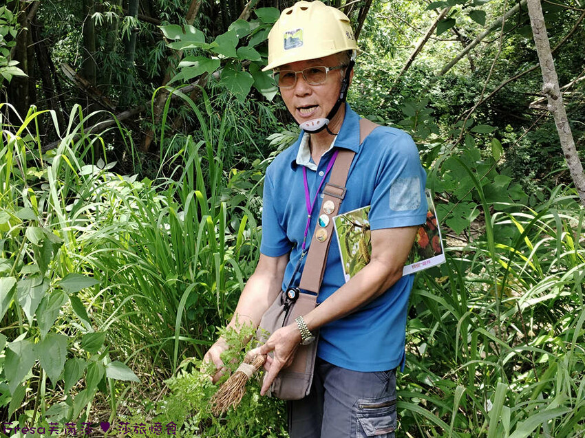 高雄市六龜區高雄旅遊│六龜荖濃溪遊憩旅行│騎乘電輔車吹風過隧道.豐富六龜生態地質│品茗原山茶│荖濃大武壠族文化體驗