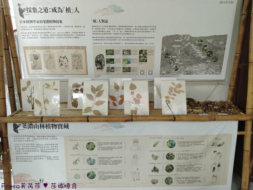 高雄市六龜區高雄旅遊│六龜荖濃溪遊憩旅行│騎乘電輔車吹風過隧道.豐富六龜生態地質│品茗原山茶│荖濃大武壠族文化體驗