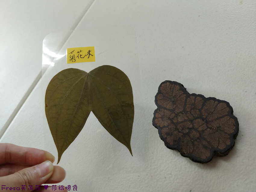 高雄市六龜區高雄旅遊│六龜荖濃溪遊憩旅行│騎乘電輔車吹風過隧道.豐富六龜生態地質│品茗原山茶│荖濃大武壠族文化體驗